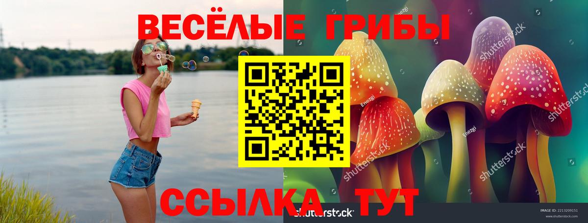 Псилоцибиновые грибы GOLDEN TEACHER  наркотики  Вход с VPN  Жуковский  Галлюциногенные грибы мицелий 